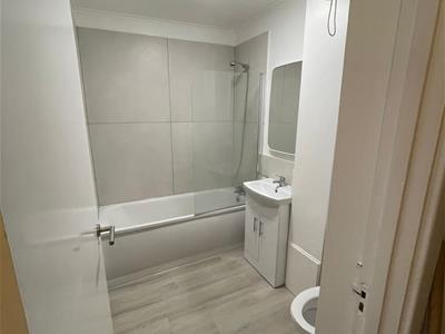 Picture 5